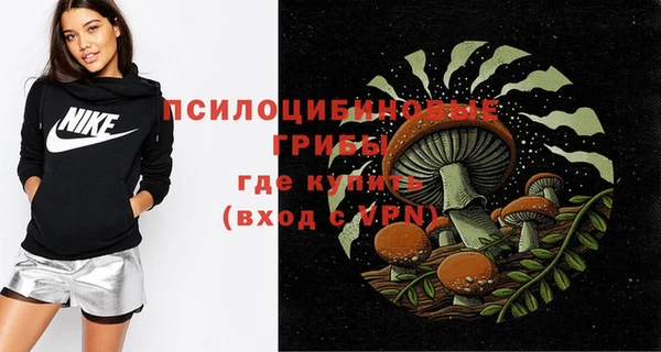 ПСИЛОЦИБИНОВЫЕ ГРИБЫ Алексин