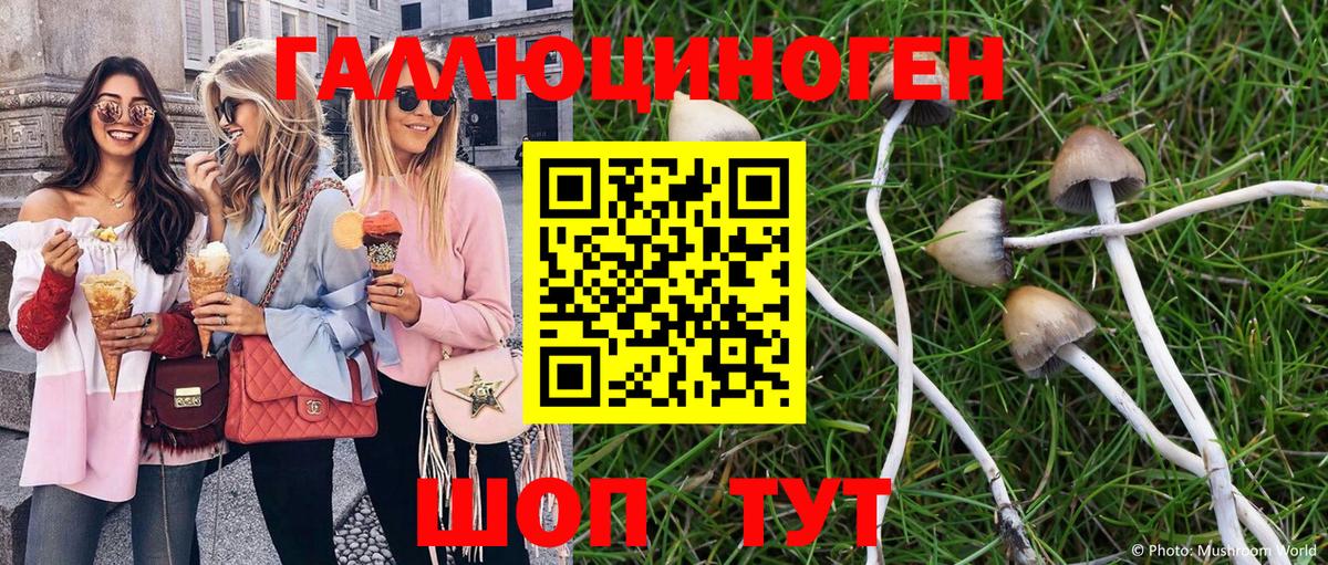 Псилоцибиновые грибы Psilocybe Полевской